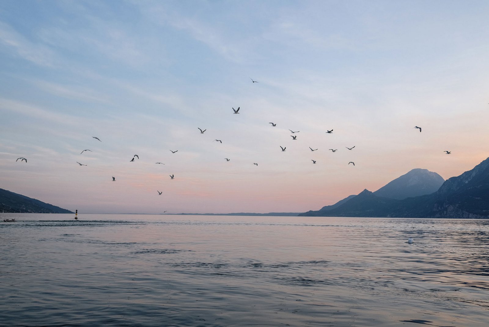 Rosa Himmel und Vögel im Flug während eines Sonnenuntergangs am Gardasee