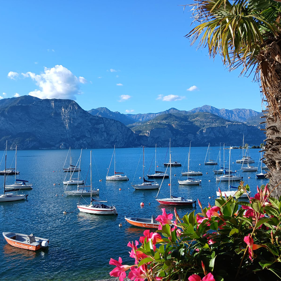 Segelboote auf dem Gardasee mit Bergpanorama bei Brenzone